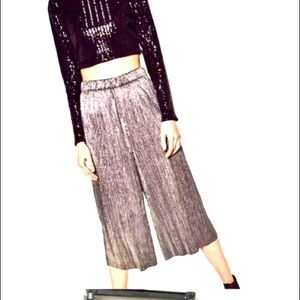 Zara Silver Pleated Crop Palazzo Pants
